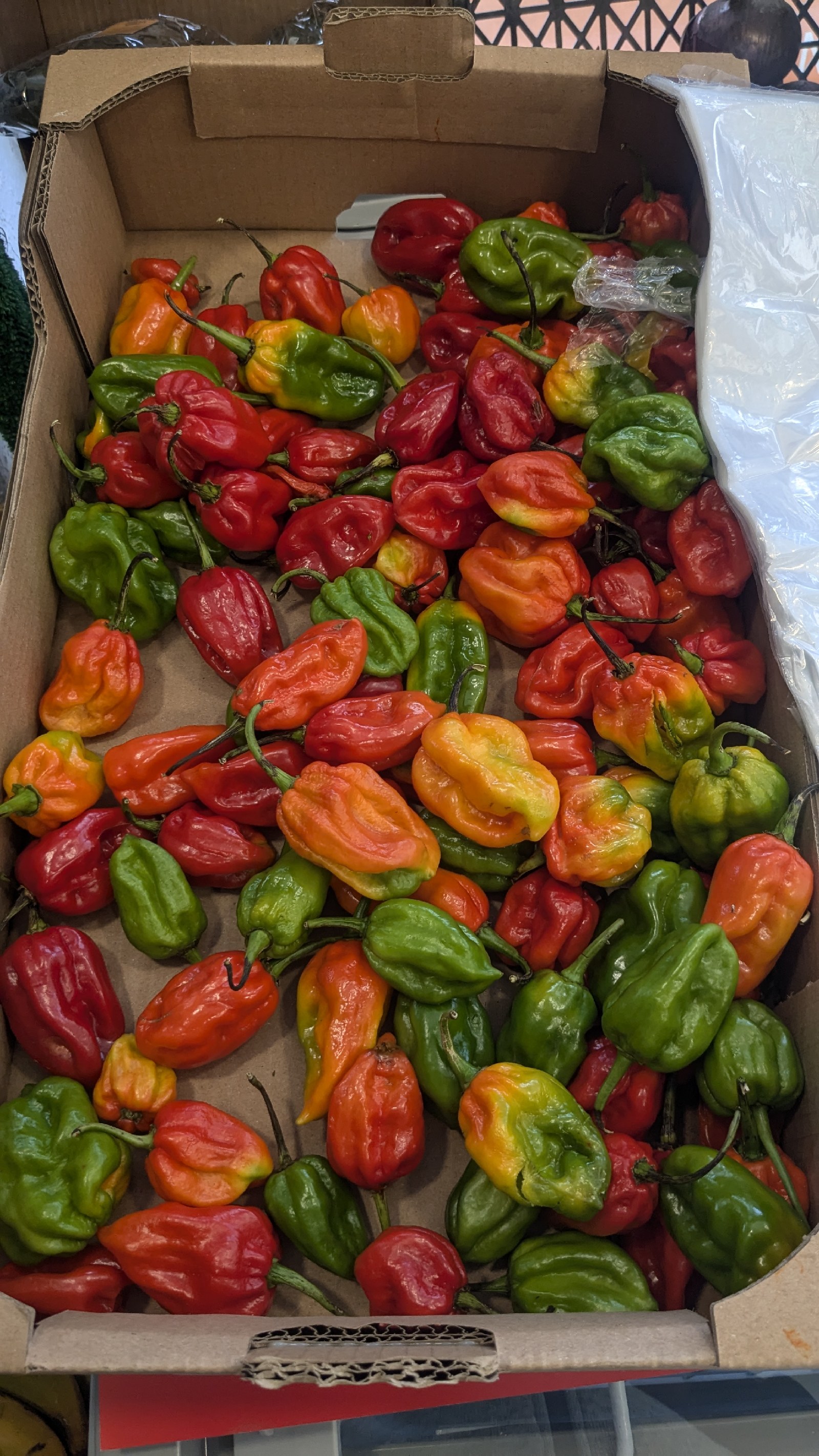 Piments