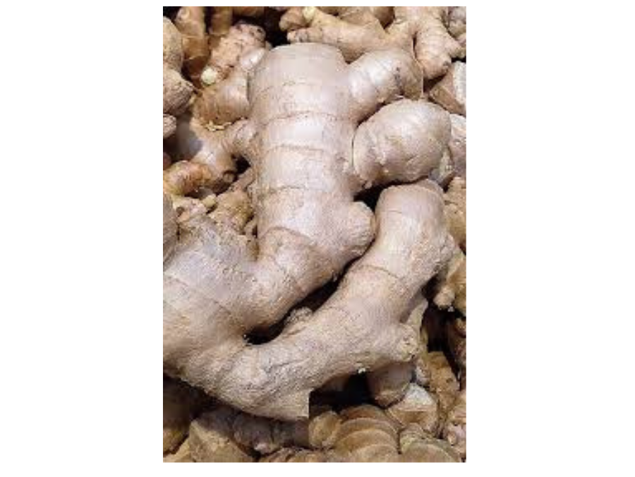 Gingimbre