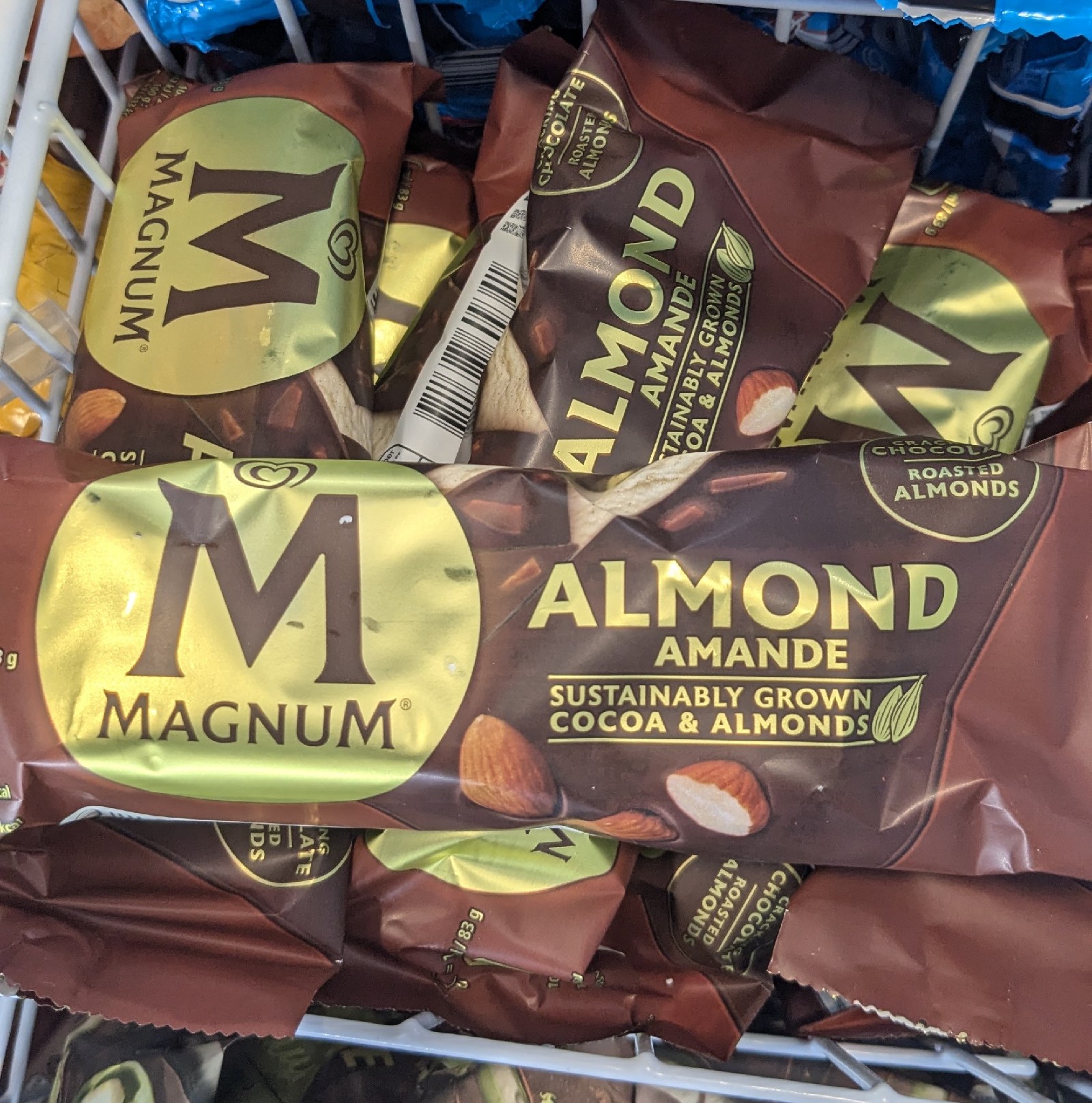 Magnum