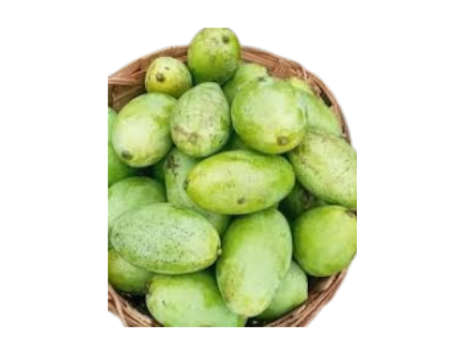 Mangue