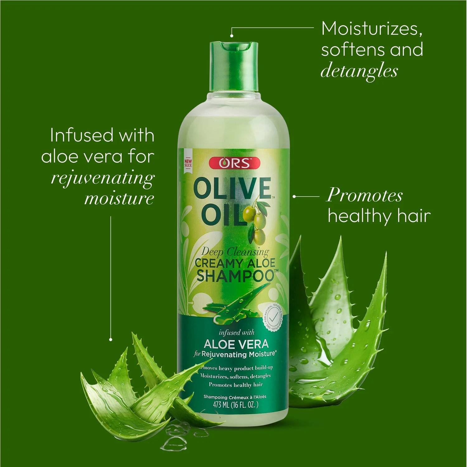 OLIVE OIL - 2