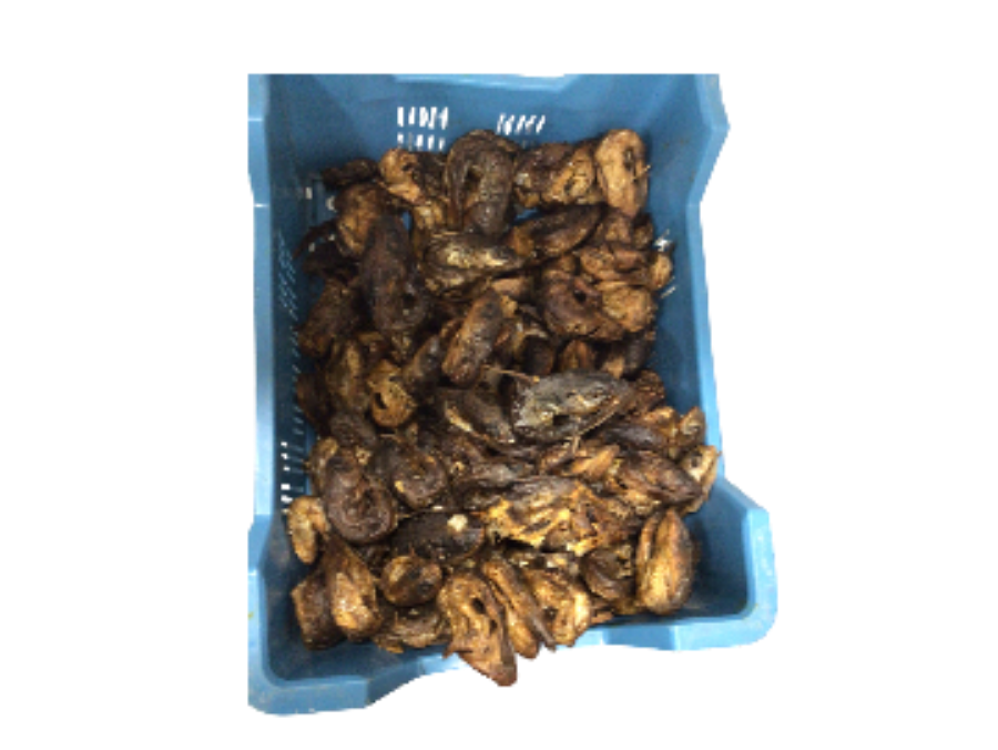 Poisson fumé de Mopti