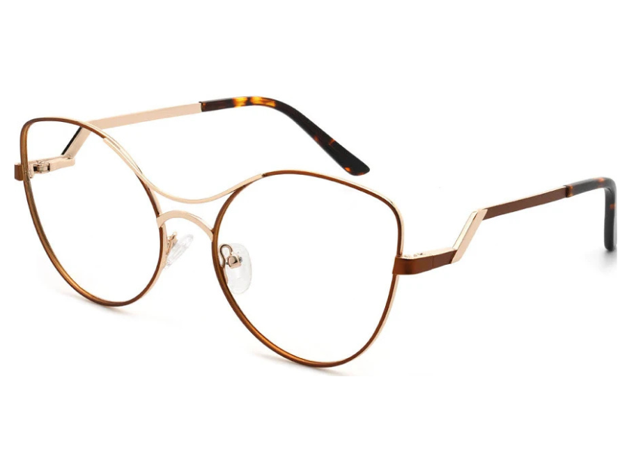 Lunettes de prescription Monture Métal
