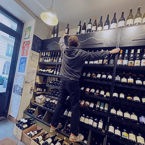Disposition des Vins
