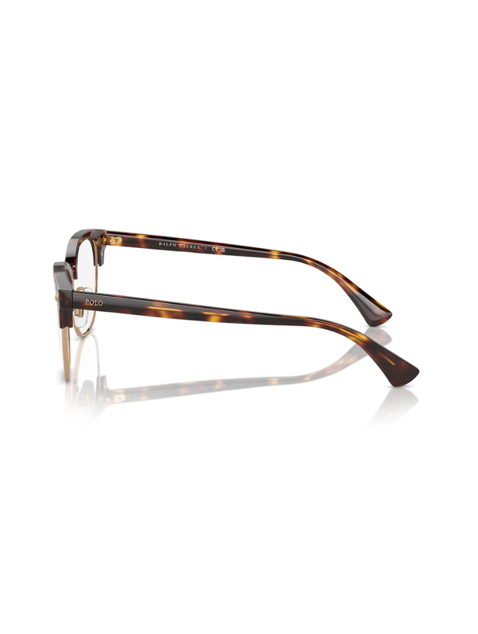 Lunettes de vue Polo Ralph Lauren PH2277 - 6137 - Havane (Écaille de tortue Marron brillant) - 4