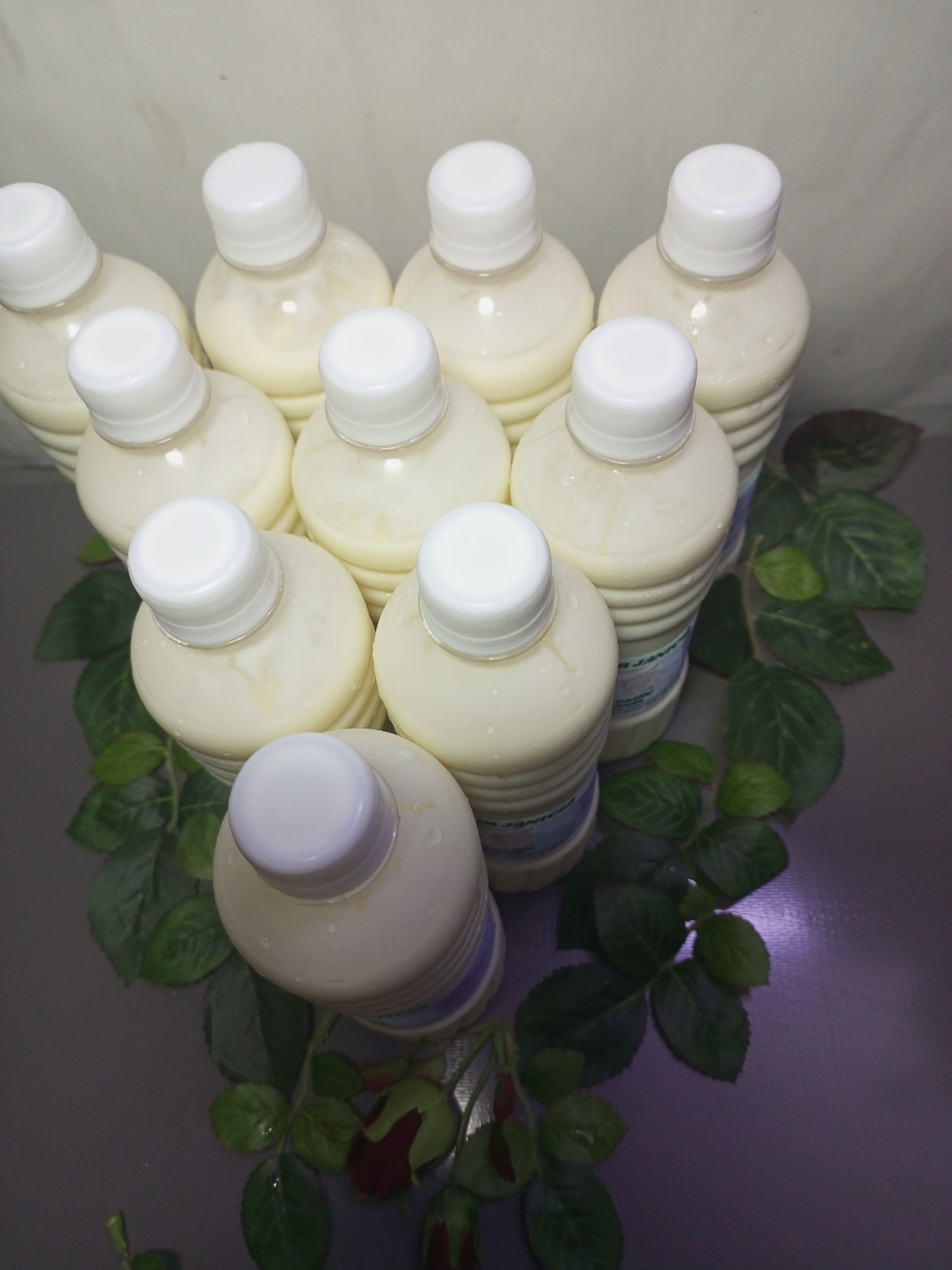 Lait caillé - 3