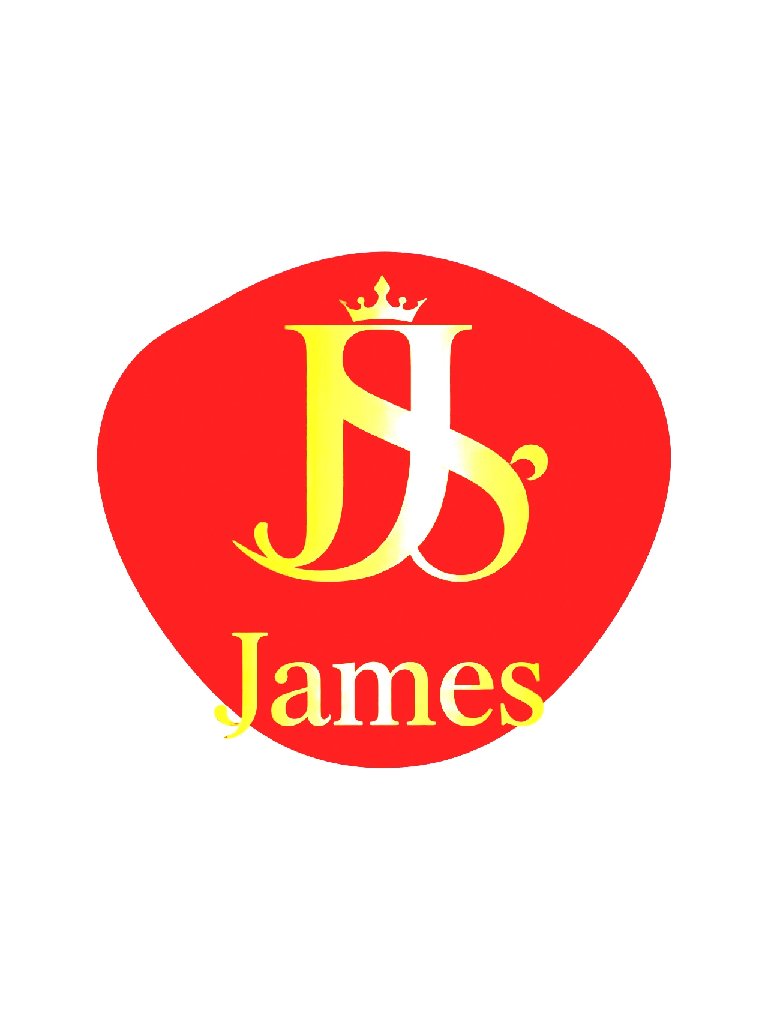 Logo de James Style