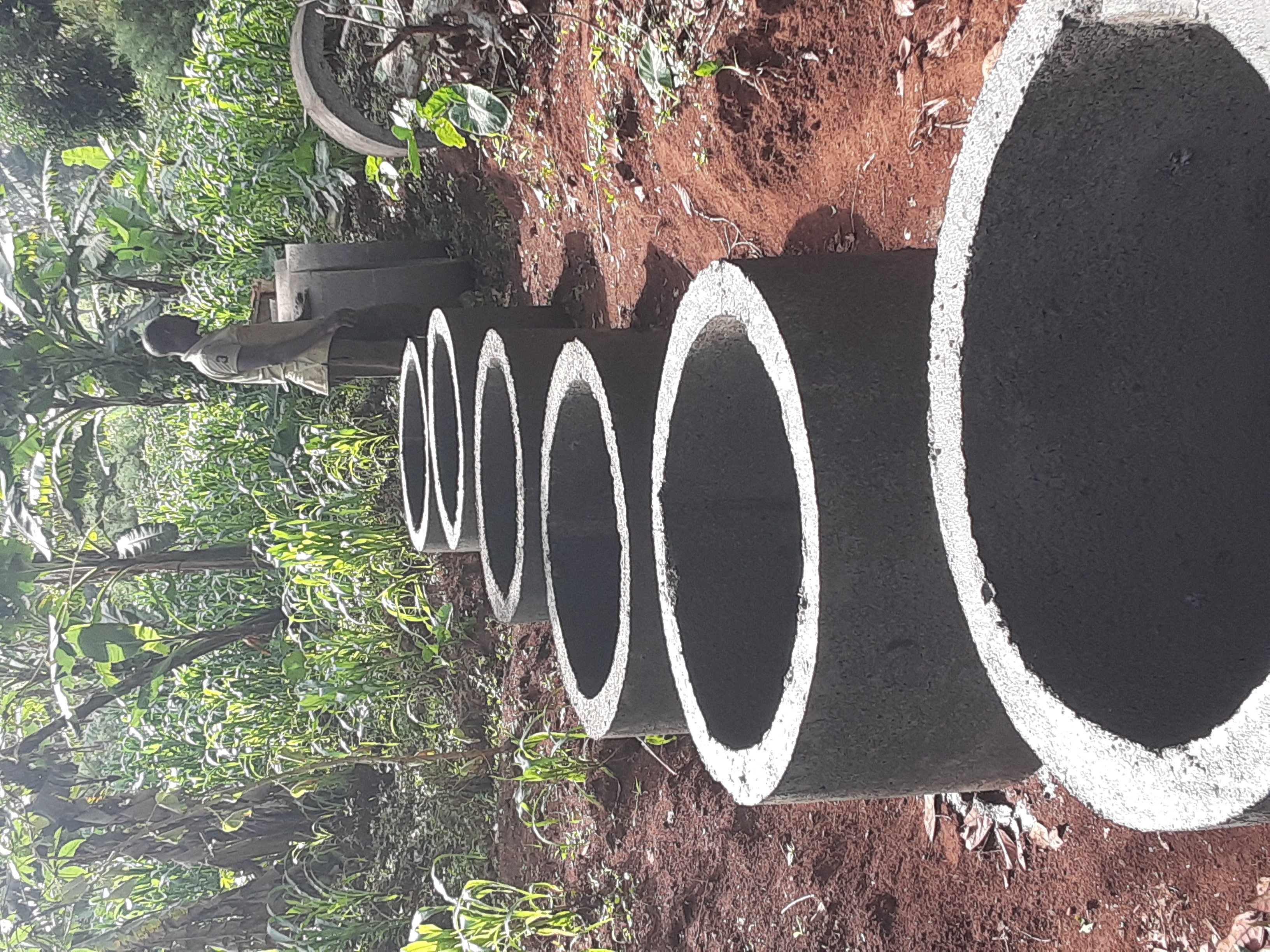 Buse