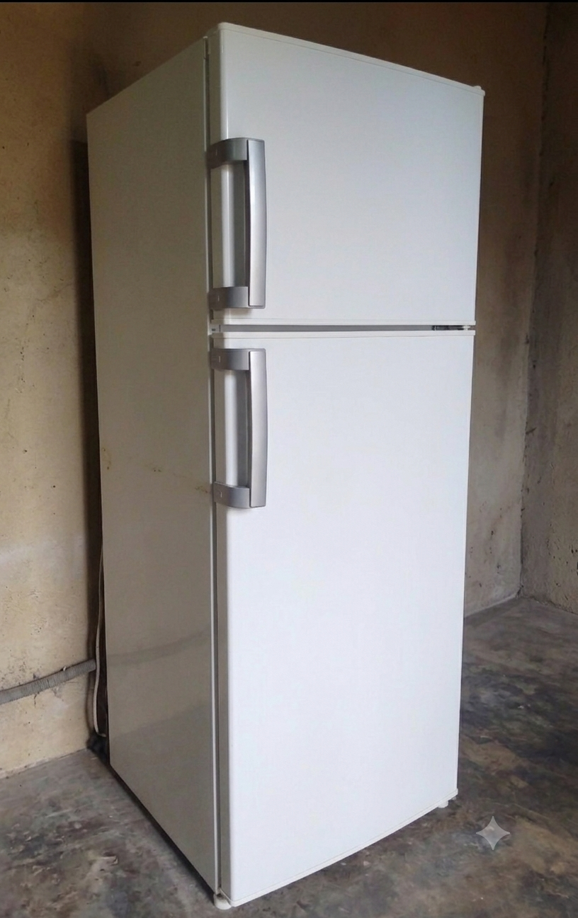 Beko D80301 330L