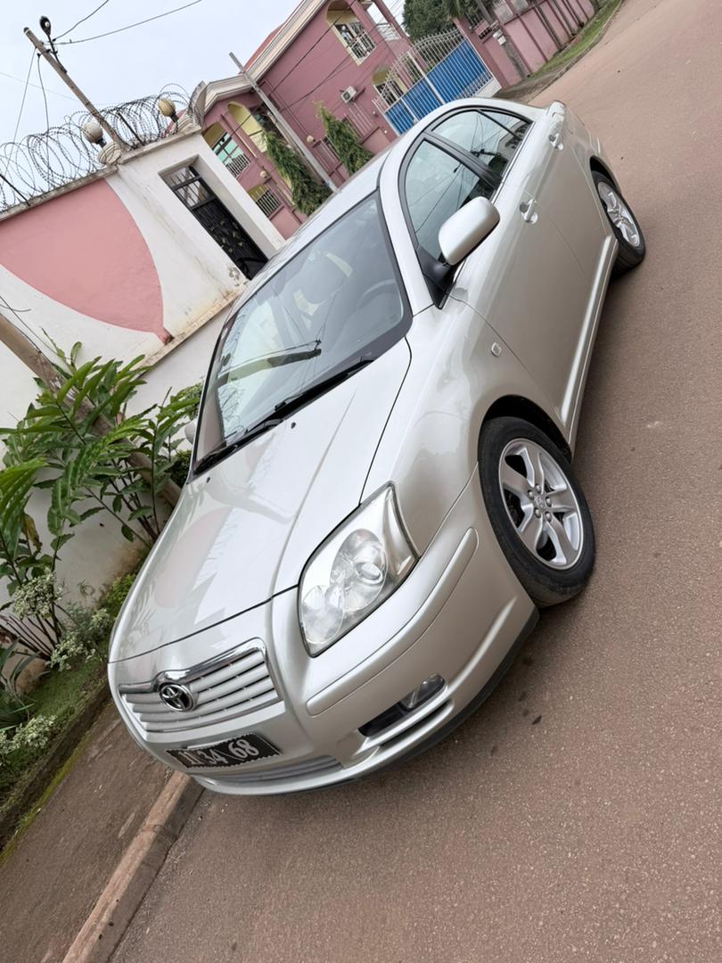 Avensis tête de cochon
