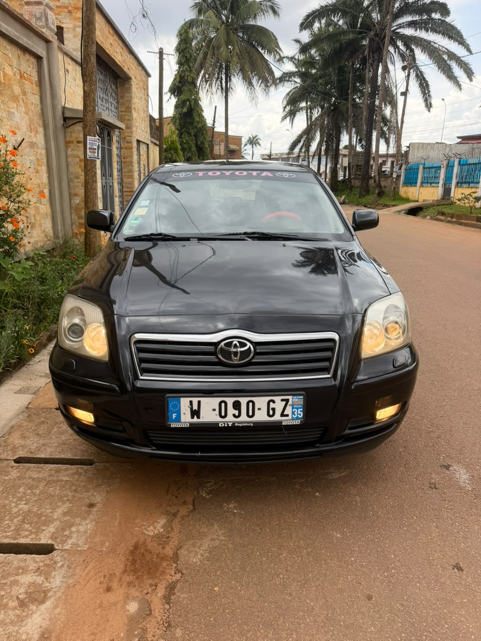 🔥TOYOTA TÊTE DE COCHON LEAFTBACK 2005-2006 - 2