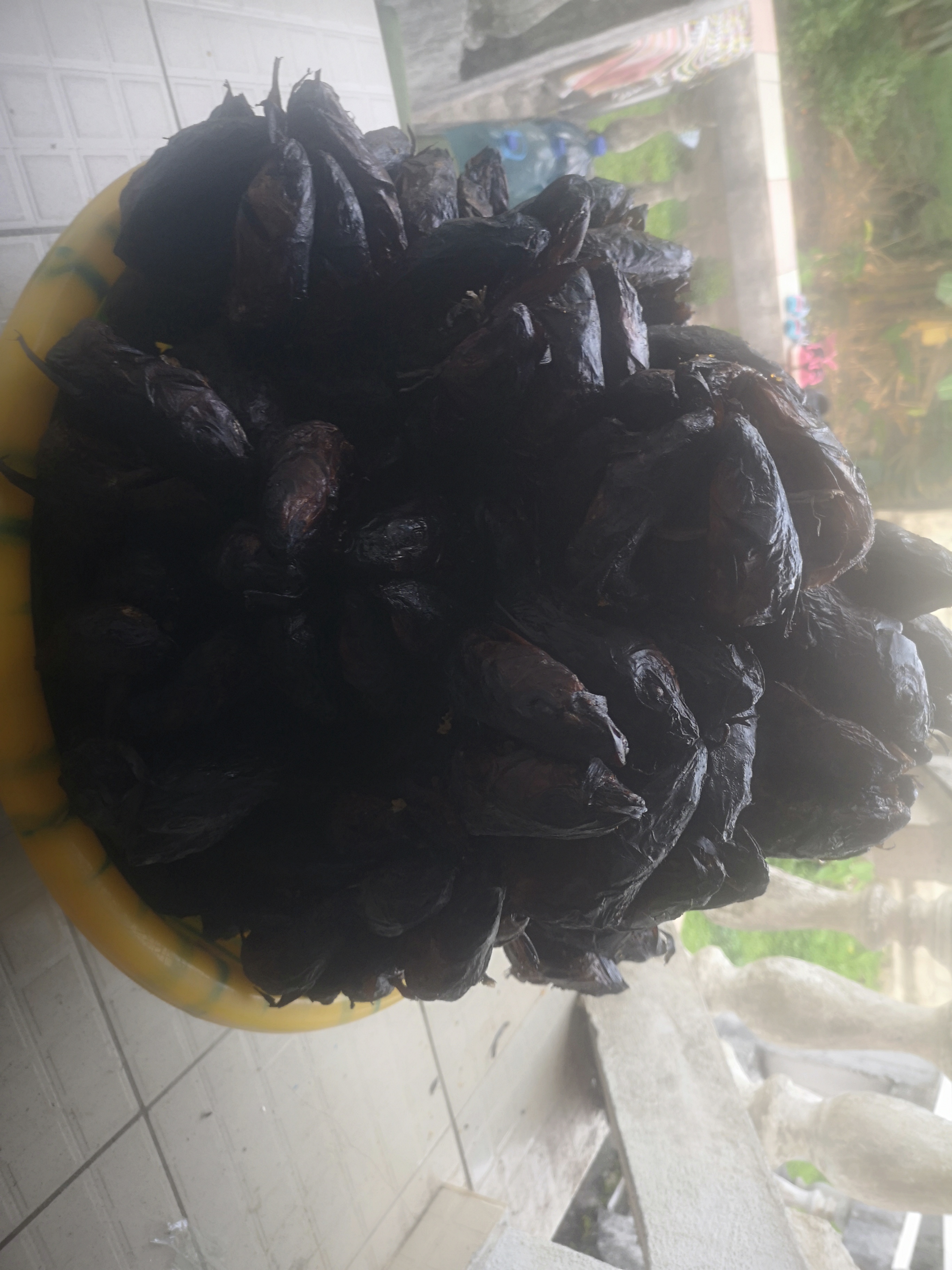 Machoiron fumé de mayumba - 2