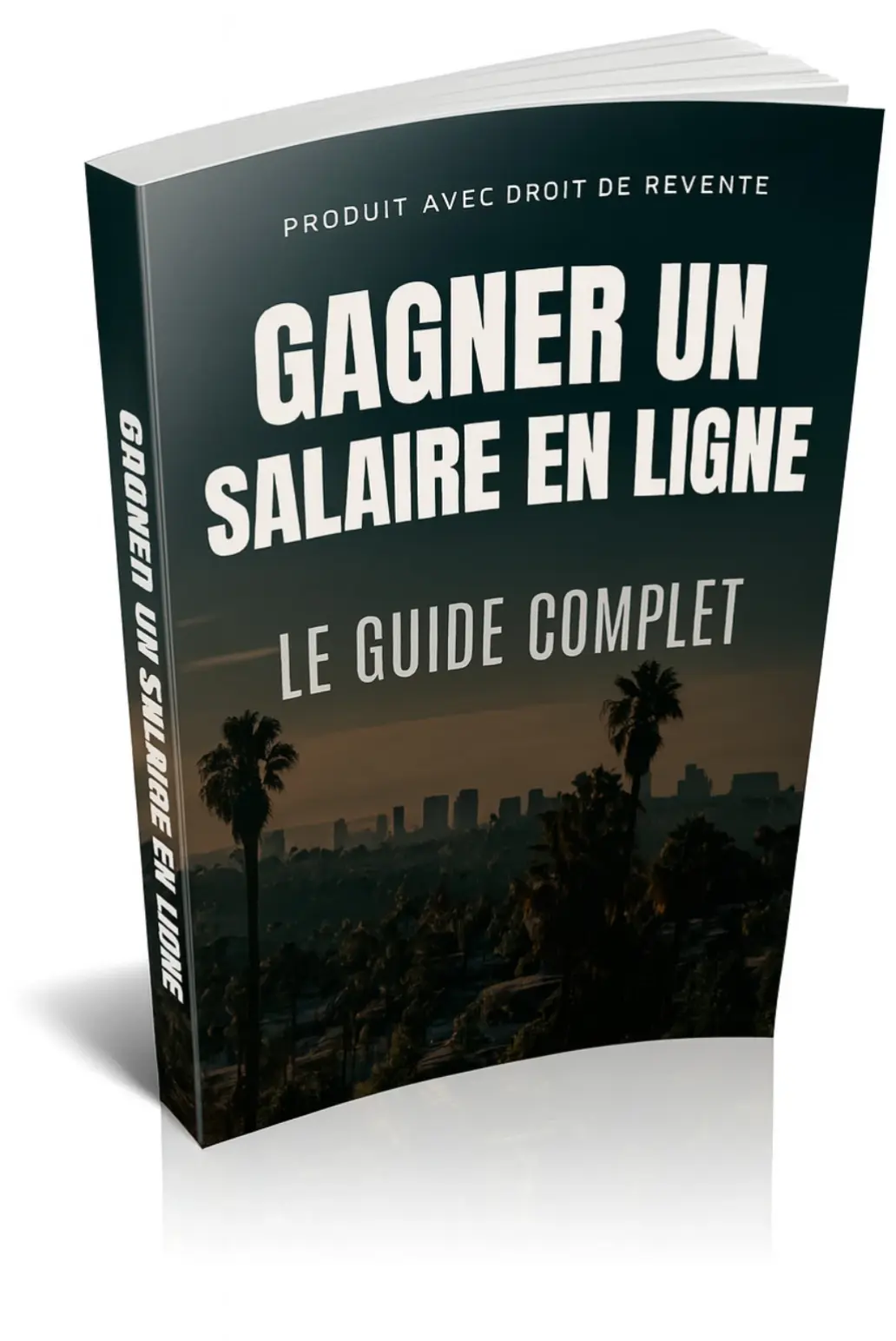 GAGNER UN SALAIRE EN LIGNE (LE GUIDE)