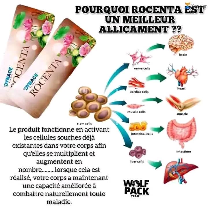 Rocenta - 3